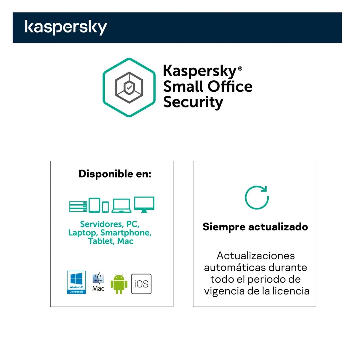 Antivirus Kaspersky Small Office